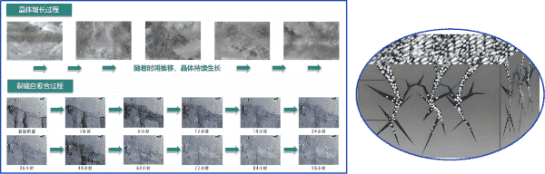 1736391926199163.png 图片 15(1).png