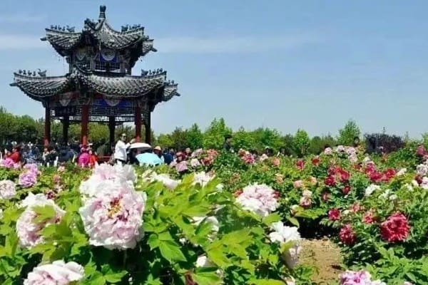 图片 4.jpg