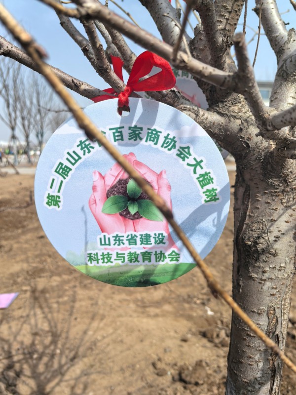 图片 3